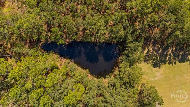 6829 Ga Highway 17 S, Bloomingdale, GA 31302