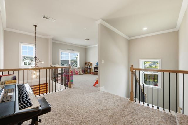 3387 Grassy Fields Lane, Apison, TN 37302