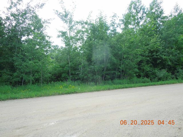 1079 Hemlock Street, Beaverton, MI 48612