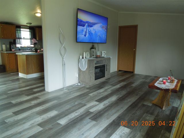 1079 Hemlock Street, Beaverton, MI 48612