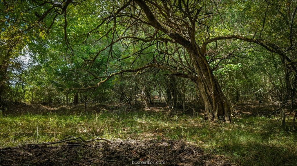 Tract 1 Mensik Rd., Bryan, TX 77808 — photo 2