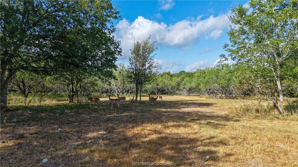 Tract 1 Mensik Rd., Bryan, TX 77808 — photo 3