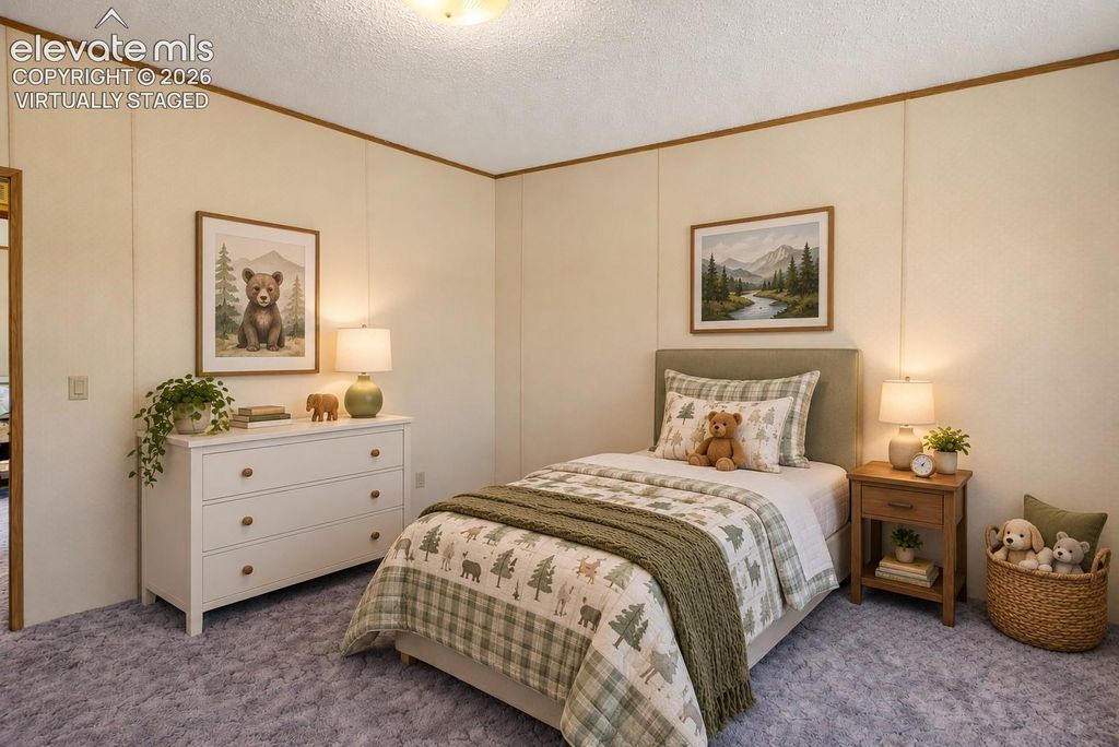 11750 Tracy Lane, Peyton, CO 80831 — photo 4