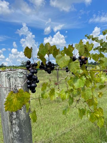 1717 Heritage Rd., Loris, SC 29569