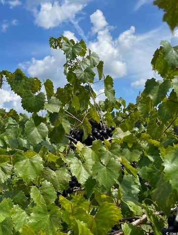 1717 Heritage Rd., Loris, SC 29569