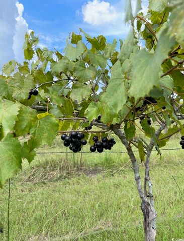 1717 Heritage Rd., Loris, SC 29569