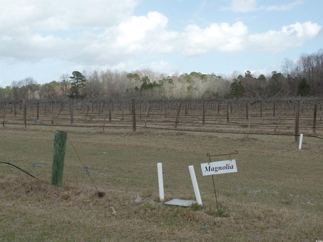 1717 Heritage Rd., Loris, SC 29569