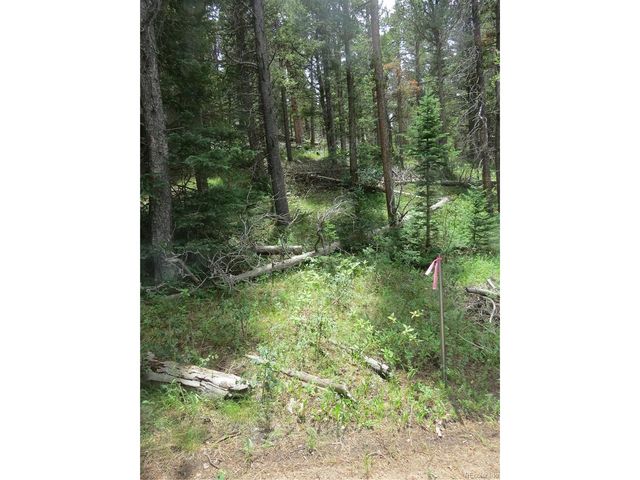 Peak to Peak Hwy, Nederland, CO 80466