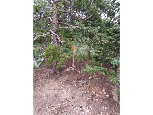 Peak to Peak Hwy, Nederland, CO 80466