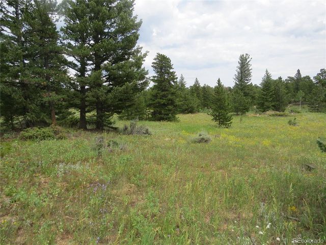 Peak to Peak Hwy, Nederland, CO 80466