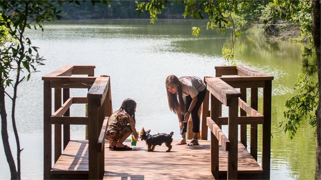 131 Sea Oats Street, Summerville, SC 29485