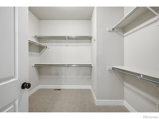 6238 Vernazza Way 3, Windsor, CO 80550