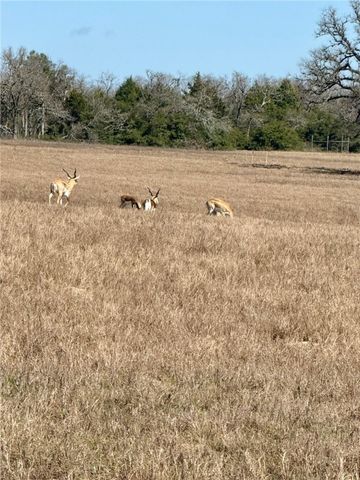 3803 Pr 4100, Marquez, TX 77865