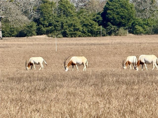 3803 Pr 4100, Marquez, TX 77865