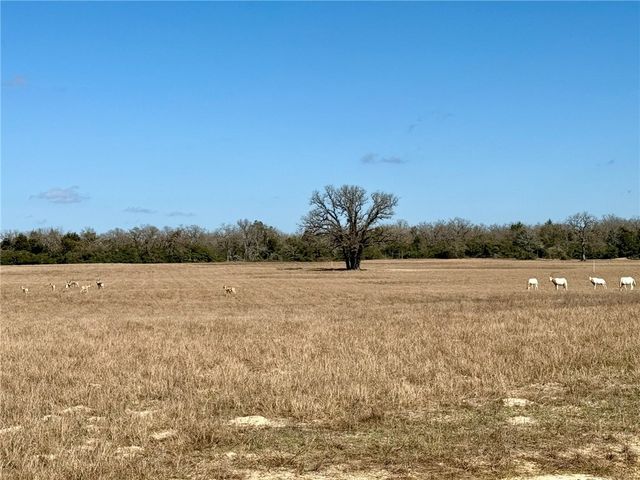 3803 Pr 4100, Marquez, TX 77865