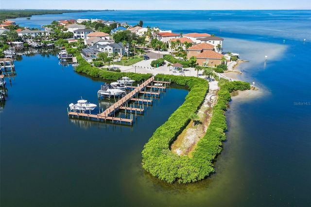 873 SYMPHONY ISLES BOULEVARD, Apollo Beach, FL 33572