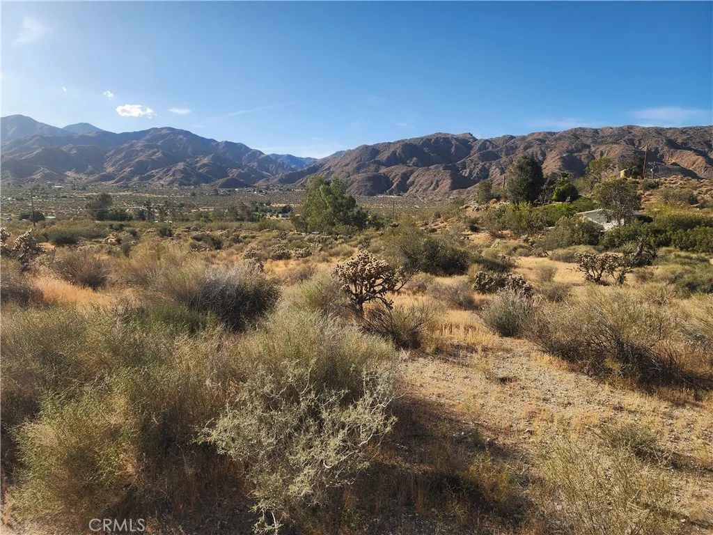 53006 Apache, Morongo Valley, CA 92256