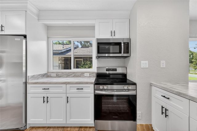 1012 N BAKER STREET, Mount Dora, FL 32757