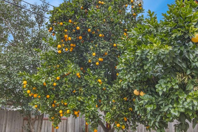 2373 Carlsbad Ave, Sacramento, CA 95821