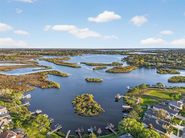 1857 RIVEREDGE DRIVE, Tarpon Springs, FL 34689
