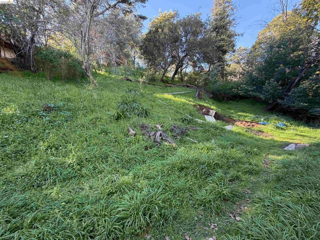 Image 1 of property listing at 59 , 60 Clayton St., San Rafael, CA 94901