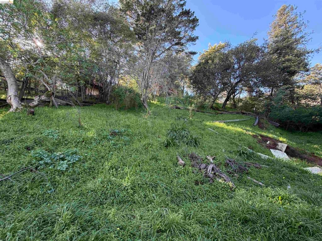 Image 2 of property listing at 59 , 60 Clayton St., San Rafael, CA 94901