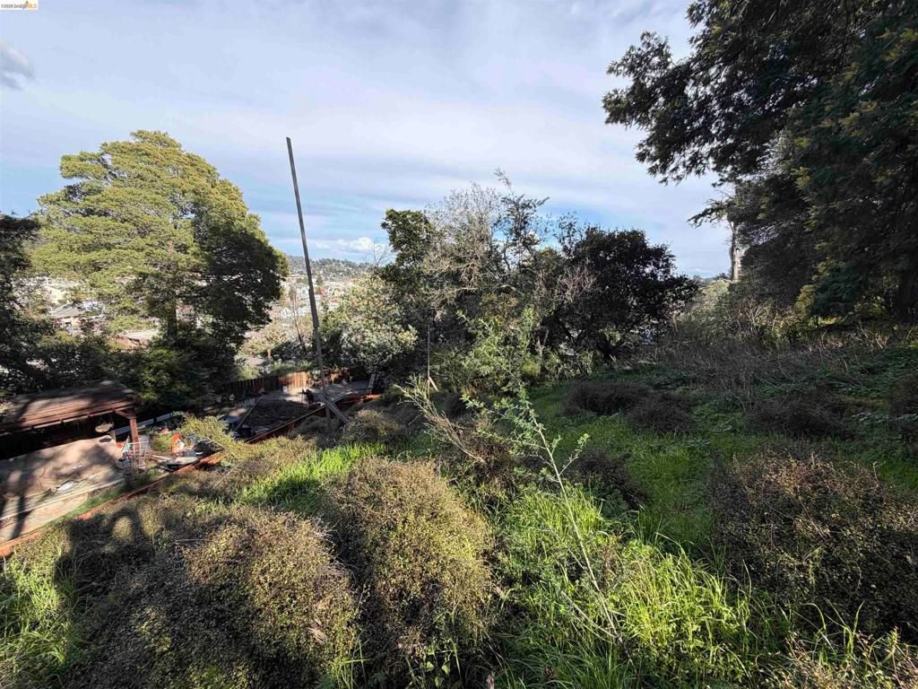 Image 4 of property listing at 59 , 60 Clayton St., San Rafael, CA 94901