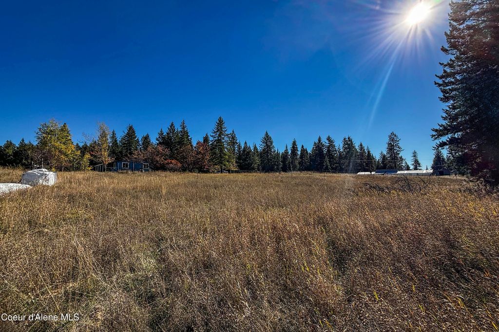 364 Misty Meadow Ln, Athol, ID 83801 photo 3