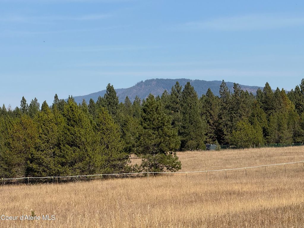 364 Misty Meadow Ln, Athol, ID 83801 photo 4