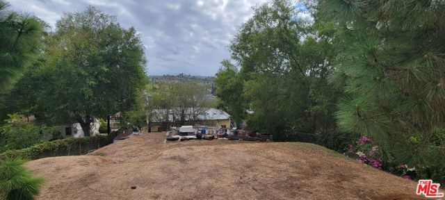 4525 College View Avenue, Los Angeles, CA 90041