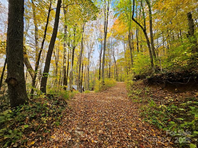 25 Hollow Log Road, Burnsville, NC 28714