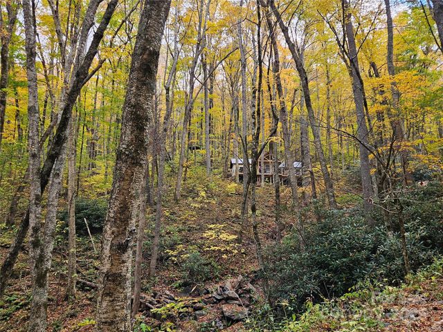 25 Hollow Log Road, Burnsville, NC 28714