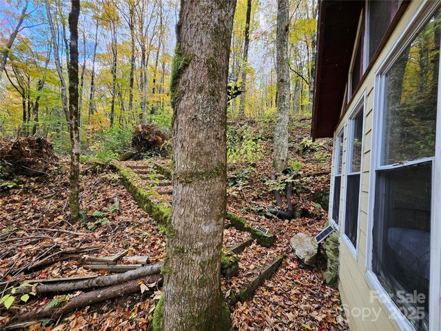 25 Hollow Log Road, Burnsville, NC 28714