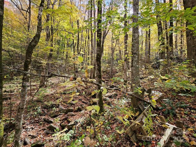 25 Hollow Log Road, Burnsville, NC 28714