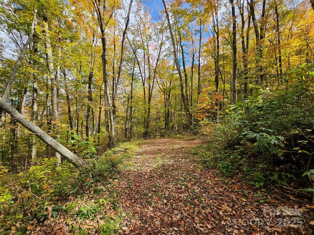 25 Hollow Log Road, Burnsville, NC 28714