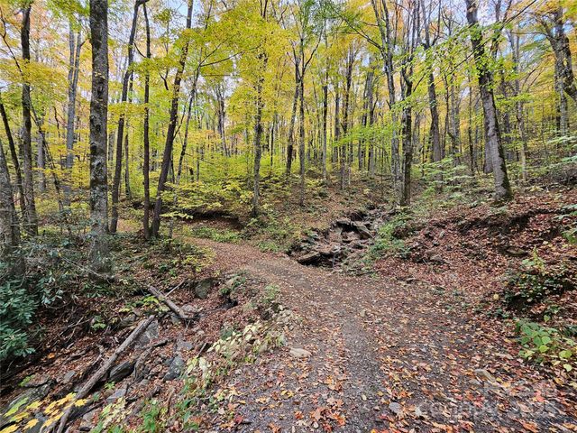 25 Hollow Log Road, Burnsville, NC 28714