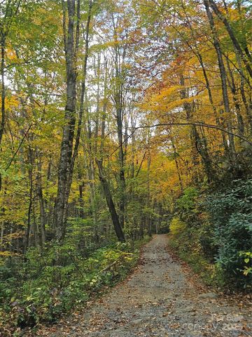 25 Hollow Log Road, Burnsville, NC 28714