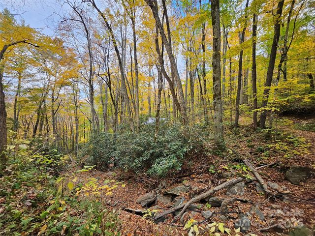 25 Hollow Log Road, Burnsville, NC 28714