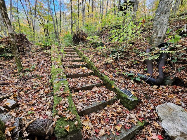 25 Hollow Log Road, Burnsville, NC 28714