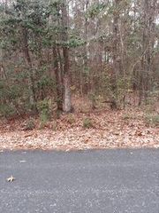 Lot 211 Prices Bridge Lane, Walterboro, SC 29488