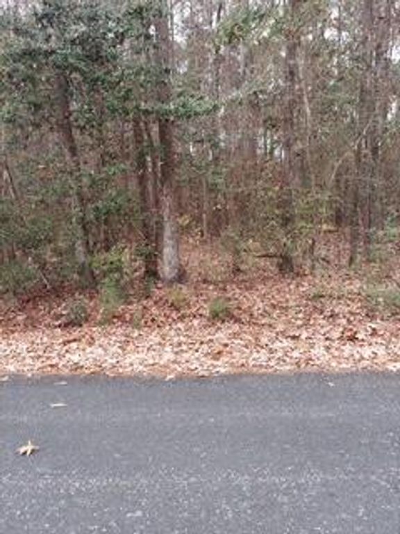 Lot 211 Prices Bridge Lane, Walterboro, SC 29488