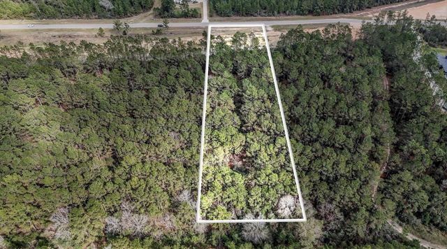 15583 Forest Grove Drive, Willis, TX 77378