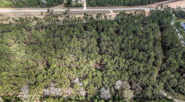 15583 Forest Grove Drive, Willis, TX 77378