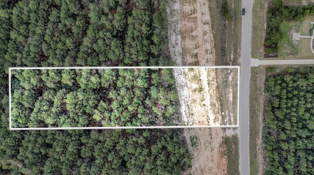 15583 Forest Grove Drive, Willis, TX 77378