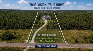 15583 Forest Grove Drive, Willis, TX 77378