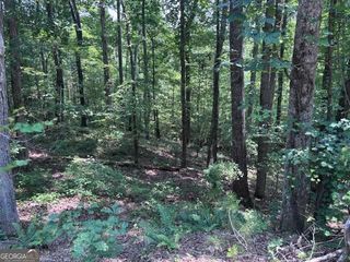 10090 Brazell Road, Chattahoochee Hills, GA 30213