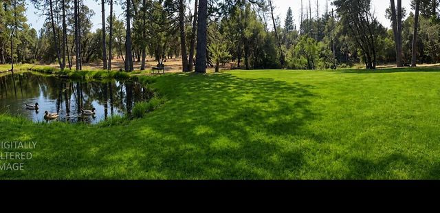10779 Newtown Rd, Nevada City, CA 95959