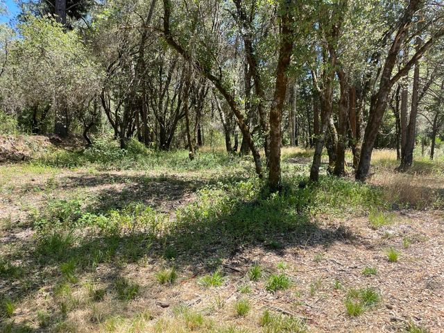 10779 Newtown Rd, Nevada City, CA 95959
