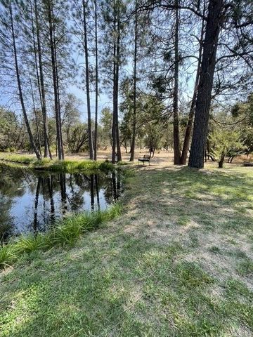 10779 Newtown Rd, Nevada City, CA 95959