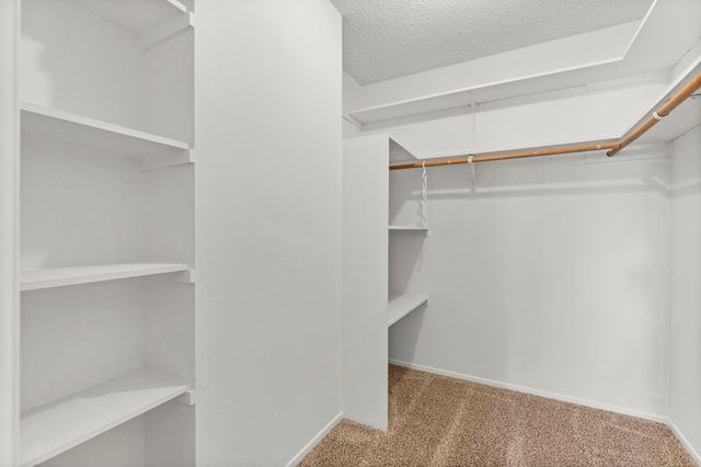 830 Live Oak TRL, Liberty Hill, TX 78642